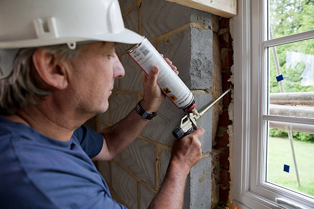 Best Wall Insulation Contractor  in Seneca, KS